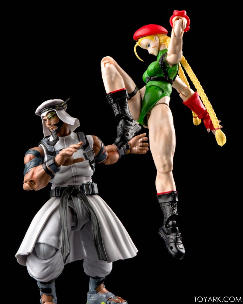 Illustration for article titled New Street Fighter Figures Are Cool